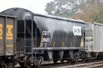 CSX 299481